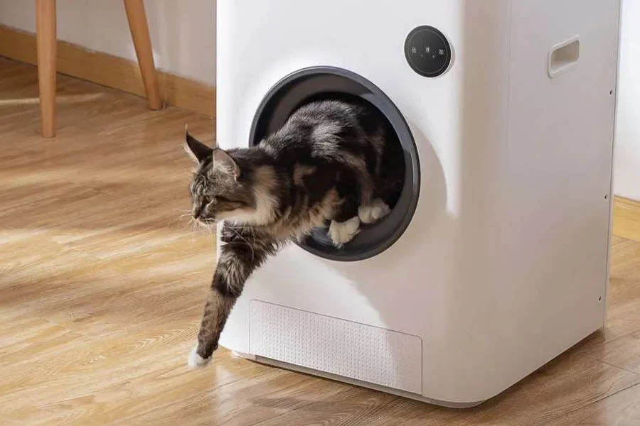 auto litter box reviews